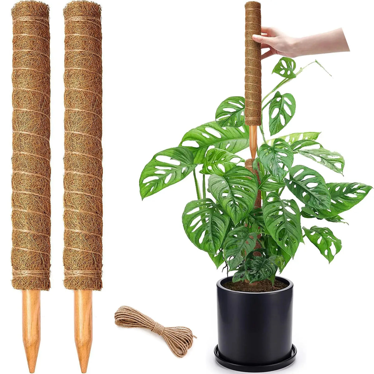 Stackable Natural Plant Support Poles