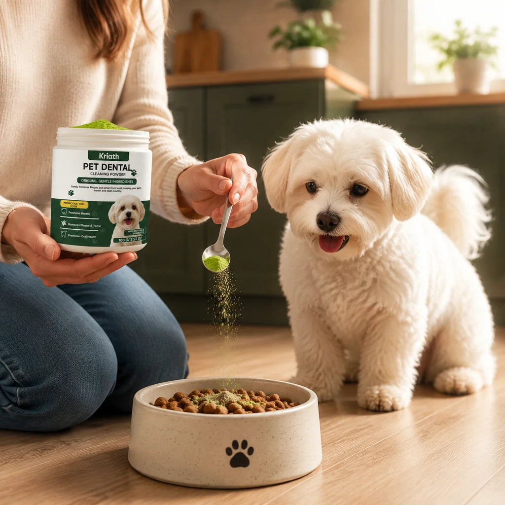 A person holds a jar of Kriath Pet Dental Enzyme Powder while a white dog looks at the camera.