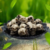 Set of 20 Gothic Skull Figurines for Halloween Decor