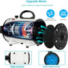 High-Power Pet Grooming Dryer with Adjustable Speed & Temperature