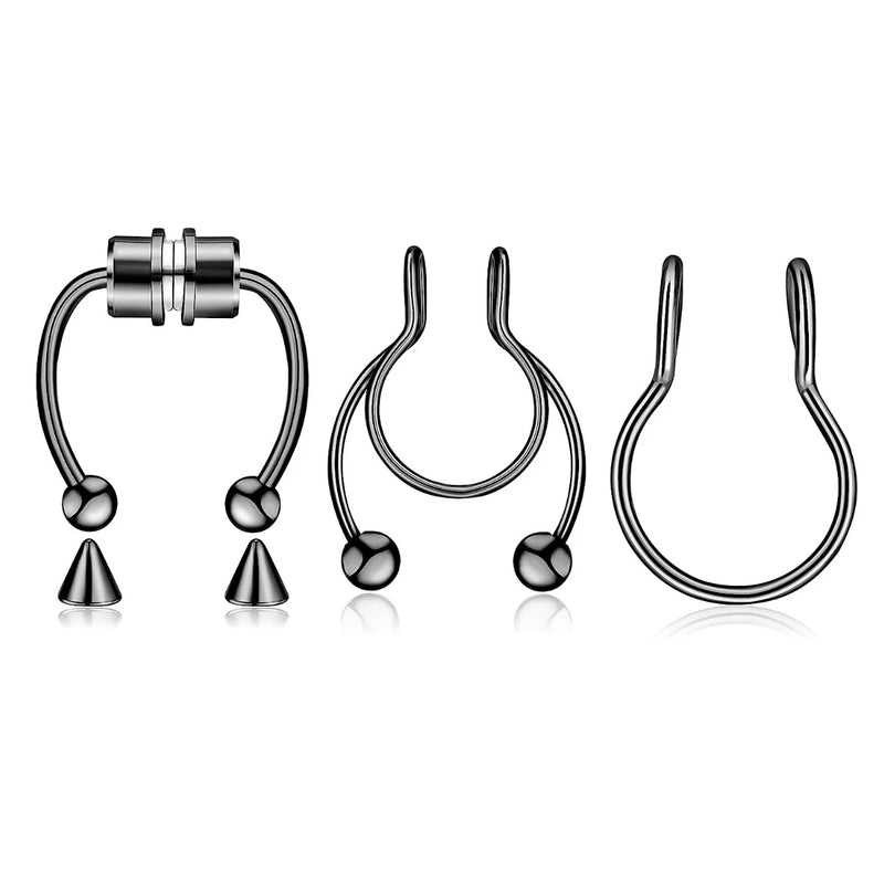 Magnetic Septum Ring Set