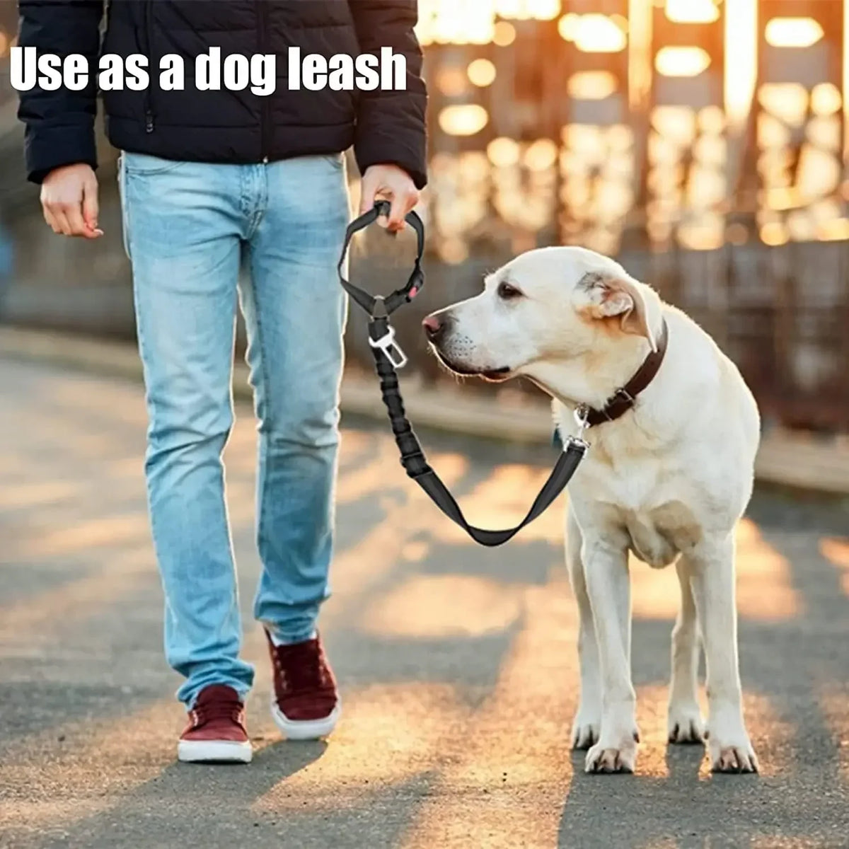 A person is holding a black dog leash attached to a white dog, demonstrating the use of a dog leash.