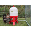 10 Gallon Plastic Dome Poultry Waterer for Chickens, Ducks & Birds