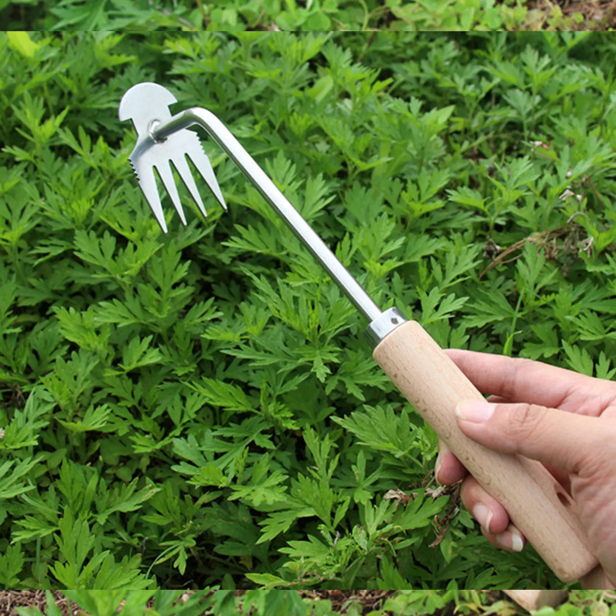 A hand holds a stainless steel weeding tool with a hook end and a wooden handle, used for garden root removal.