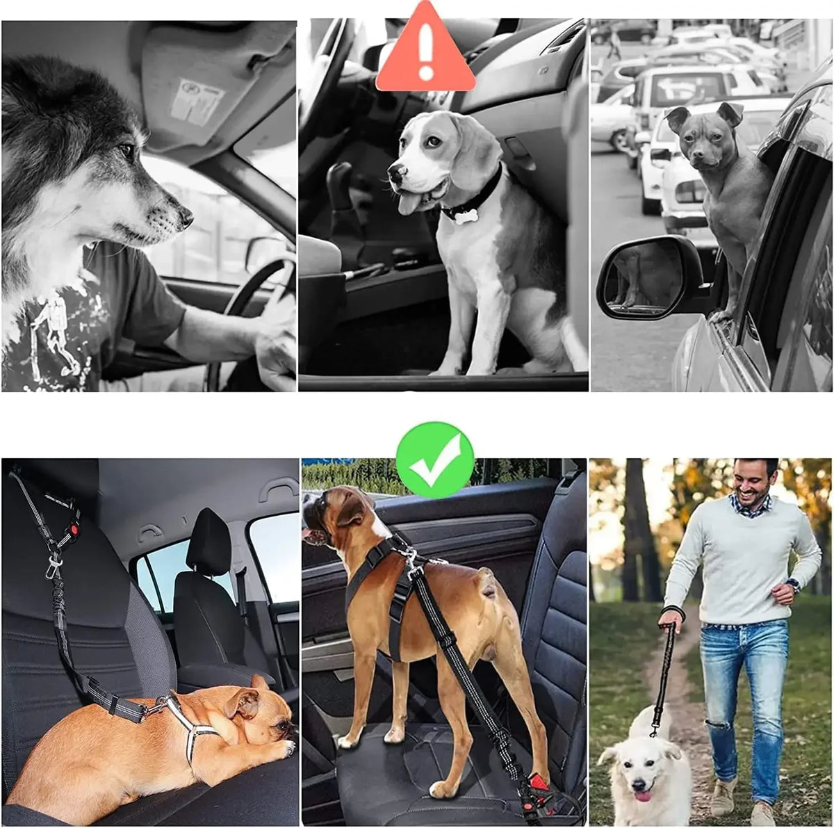 A dog wearing an adjustable reflective harness is shown in various car safety contexts.