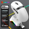 Lightweight Wireless Gaming Mouse with RGB Charging Base