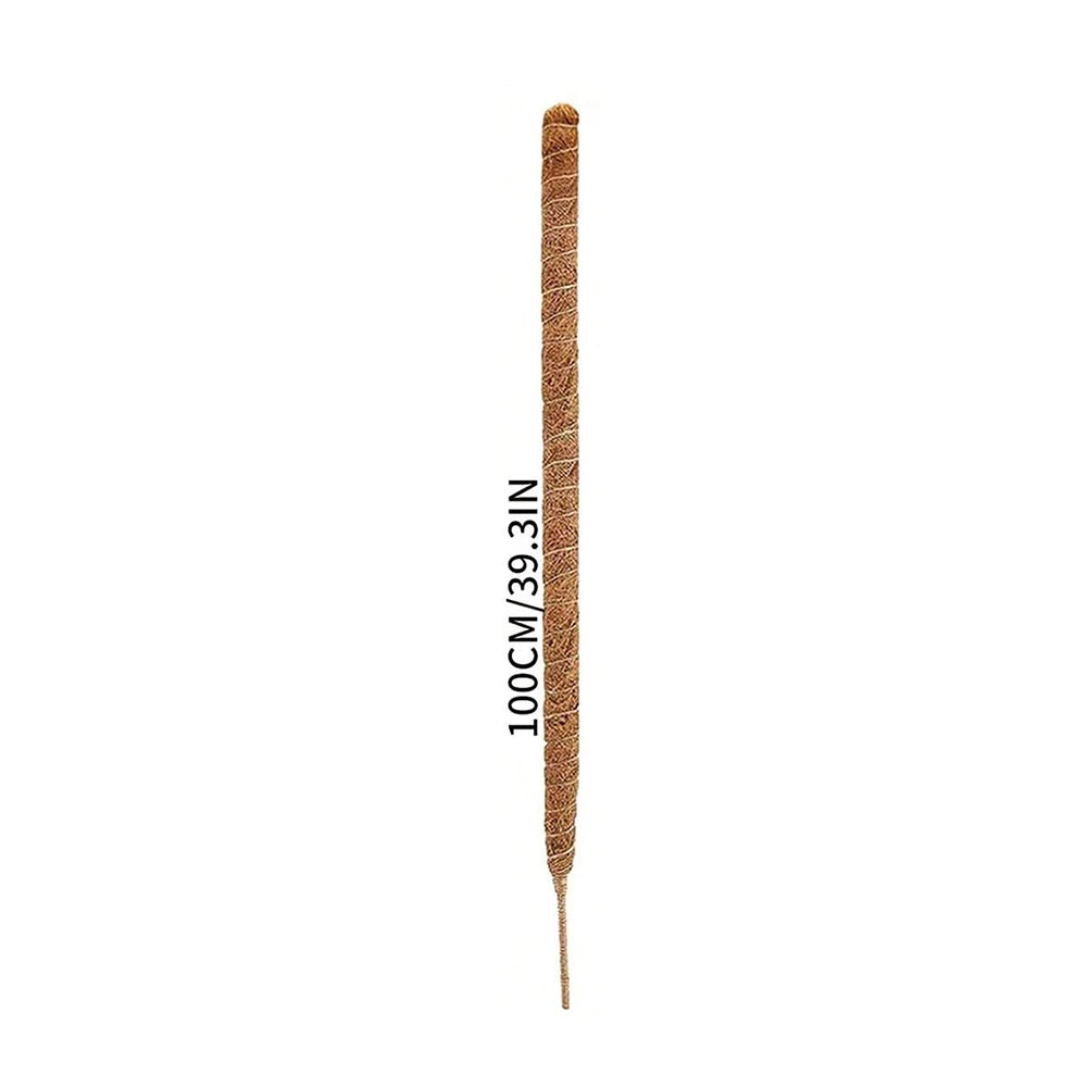 A vertical natural coir moss pole used for climbing plants, measuring 100cm/39.3in.