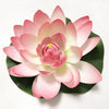 A pink lotus flower with layered petals is shown against a green leaf background.