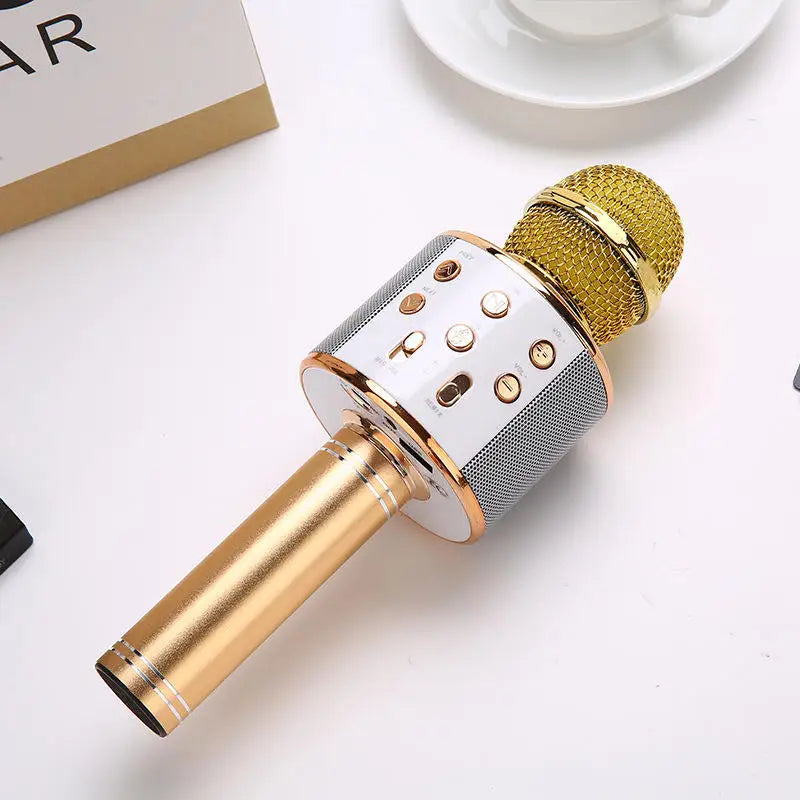 Portable Wireless Bluetooth Karaoke Microphone
