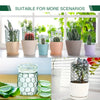 Various potted succulents and plants displayed in hexagonal PVC-coated garden fencing netting pots.