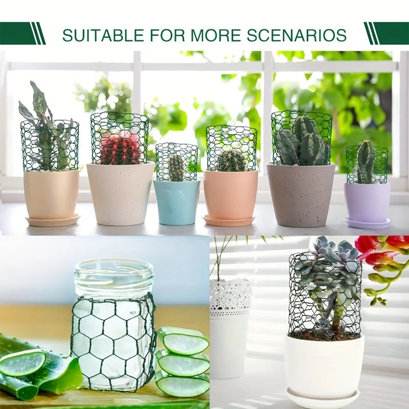 Various potted succulents and plants displayed in hexagonal PVC-coated garden fencing netting pots.
