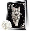 A framed image of a cat pattern diamond painting kit featuring white pearls and diamonds.