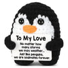 Handmade Crochet Pocket Hug Doll with Custom Message