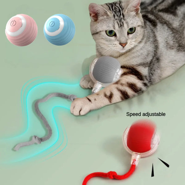 Smart Sensor Cat Toy Ball with Chirping Bird Teaser