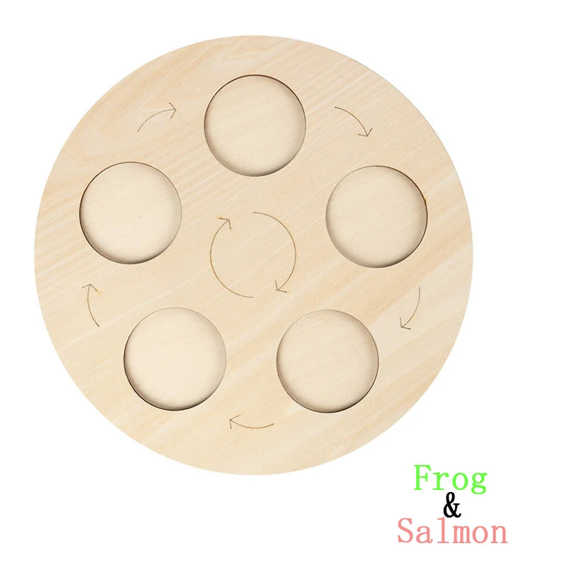 Wooden life cycle learning board with six circular cutouts showing animal and plant growth stages