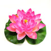 A vibrant pink lotus flower with green leaves floating on white background.