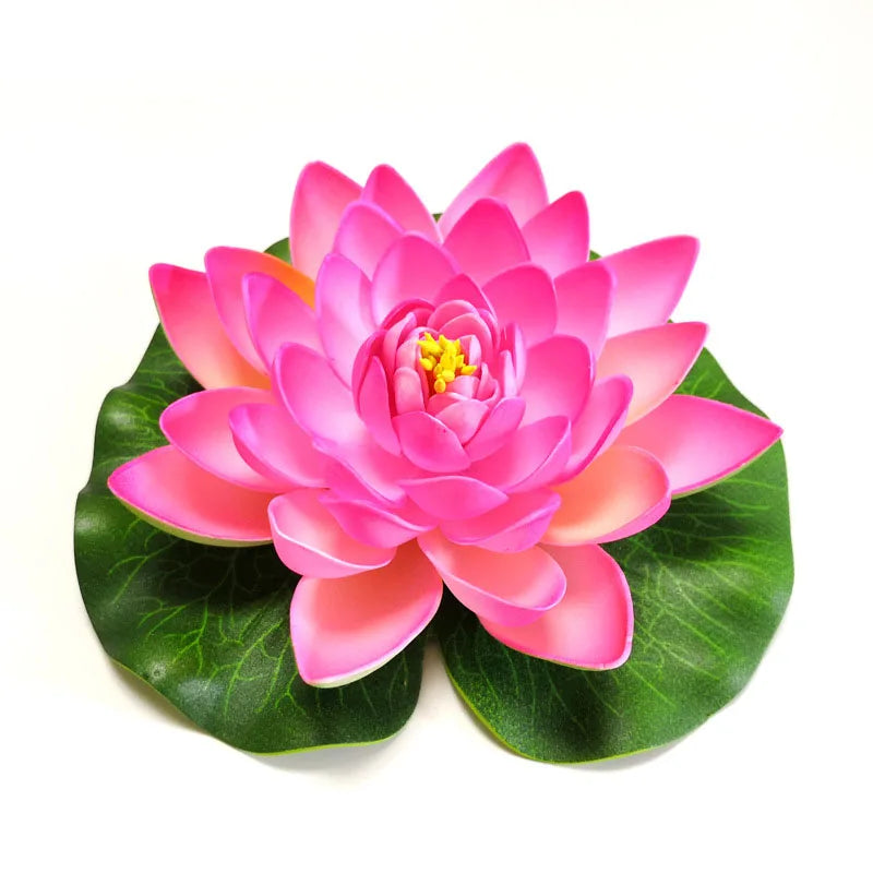 A vibrant pink lotus flower with green leaves floating on white background.