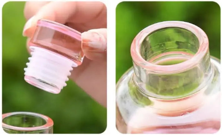 16oz Glass Water Bottle with Secure Lid