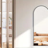 An arched full-length floor mirror with an aluminum frame reflecting a room interior and a potted plant.
