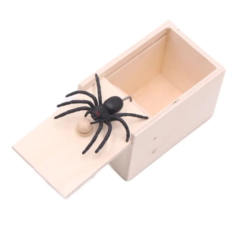 A light wooden box with a lid contains a black spider.