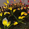 Yellow and pink calla lilies illuminated by solar-powered LED garden lights in a dark setting.