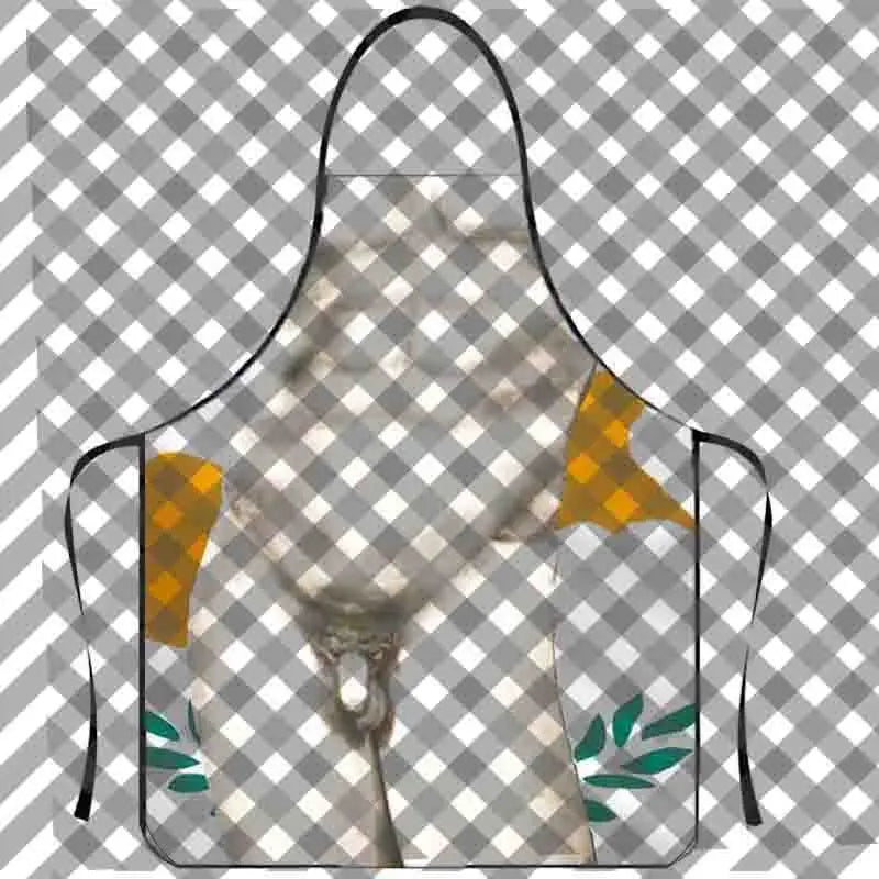 Novelty Bikini Apron for Men – Fun Kitchen & Cleaning Apron