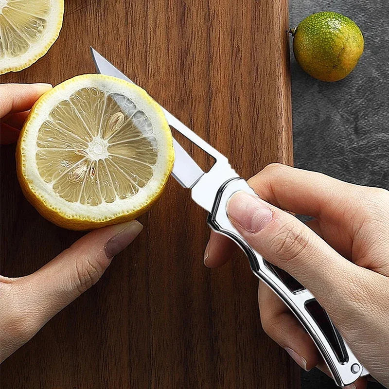 Folding Stainless Steel Fruit Knife with Non-Slip Handle