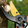 A close-up of precision pruning shears with a gold blade and black handle, positioned near a tree trunk.