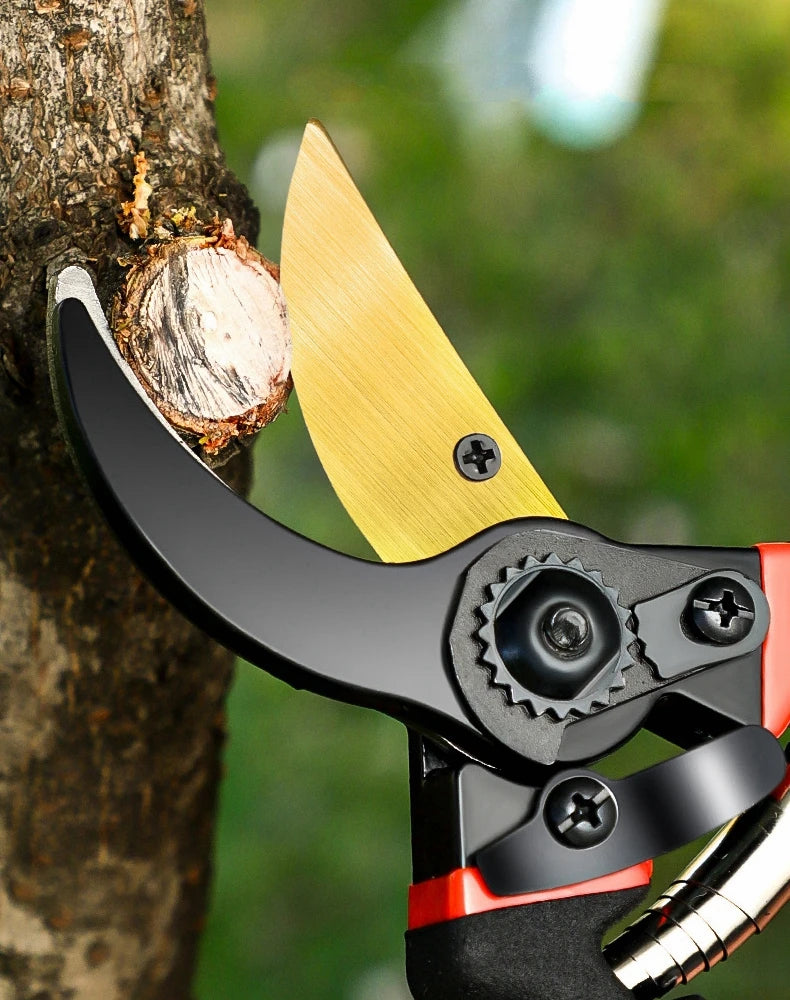 A close-up of precision pruning shears with a gold blade and black handle, positioned near a tree trunk.
