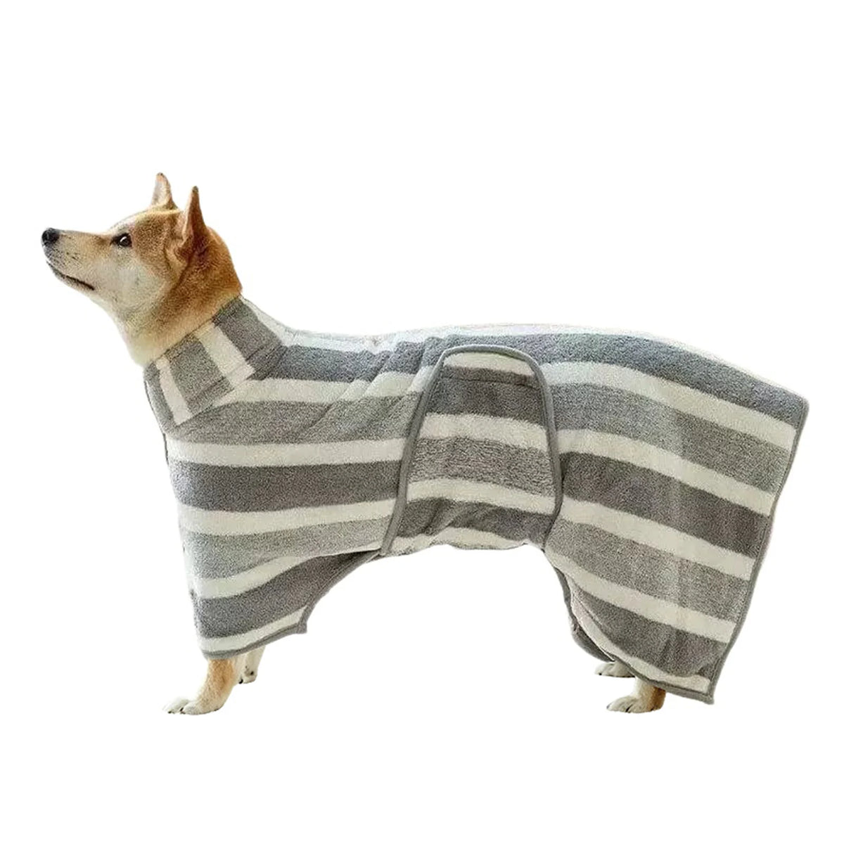 A dog wearing a striped, quick-dry bathrobe is standing.