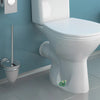 A white ceramic toilet with a hand-painted green frog bolt cover on the base.