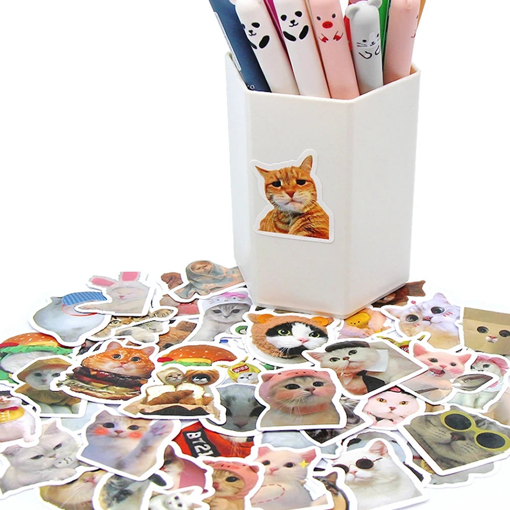 Funny Cat Sticker Pack for Laptops, Water Bottles & More