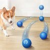 Interactive Smart Dog Ball