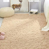 Plush Shaggy Area Rug for Living Room & Bedroom