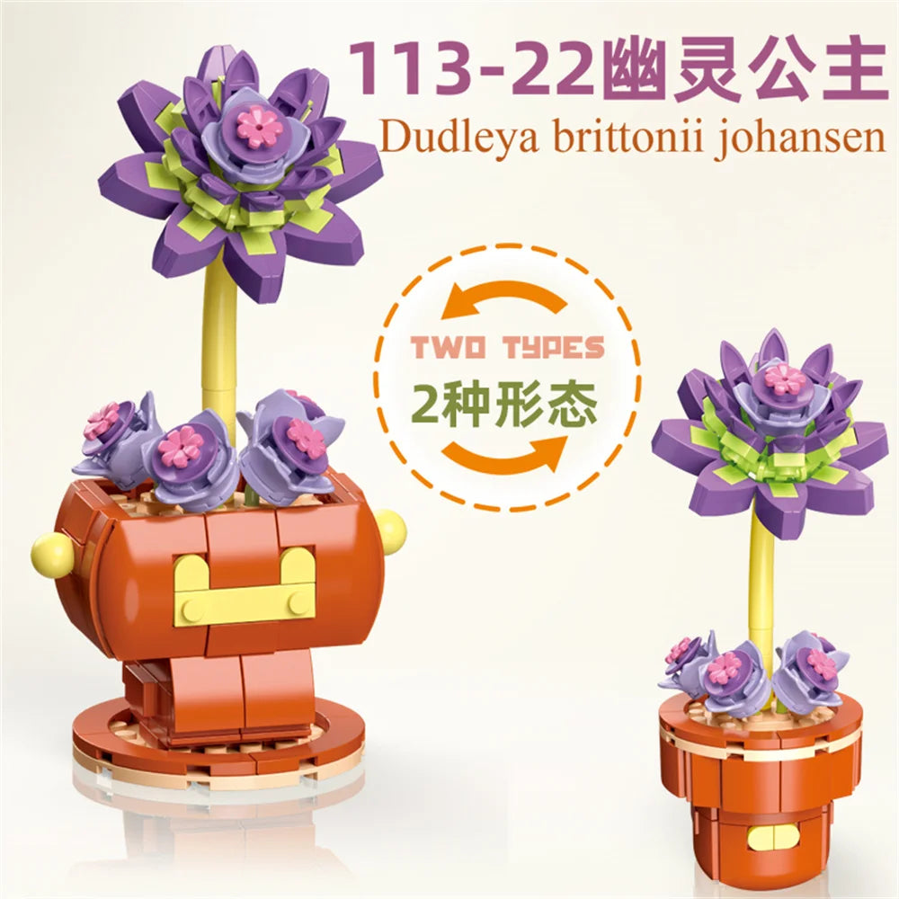 DIY Succulent Plant Building Block Bouquet