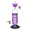 Hanging Glass Hummingbird Feeder with Ant Moat