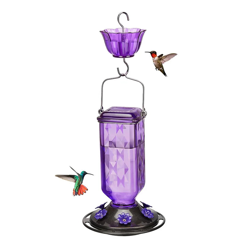 Hanging Glass Hummingbird Feeder with Ant Moat