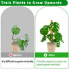 Stackable Natural Plant Support Poles