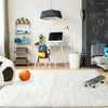 Plush Shaggy Area Rug for Living Room & Bedroom