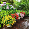 UV-Resistant Faux Orchid Branches for Indoor & Outdoor Decor