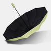 Auto Reverse-Folding Umbrella with Reflective Stripe & Carabiner Handle