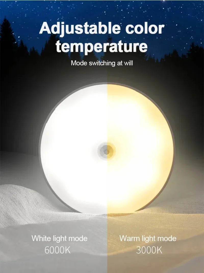 Adjustable color temperature LED light showing white and warm light modes