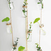 A collection of mini glass bottles with cork stoppers and green stems hanging on twine against a white background.