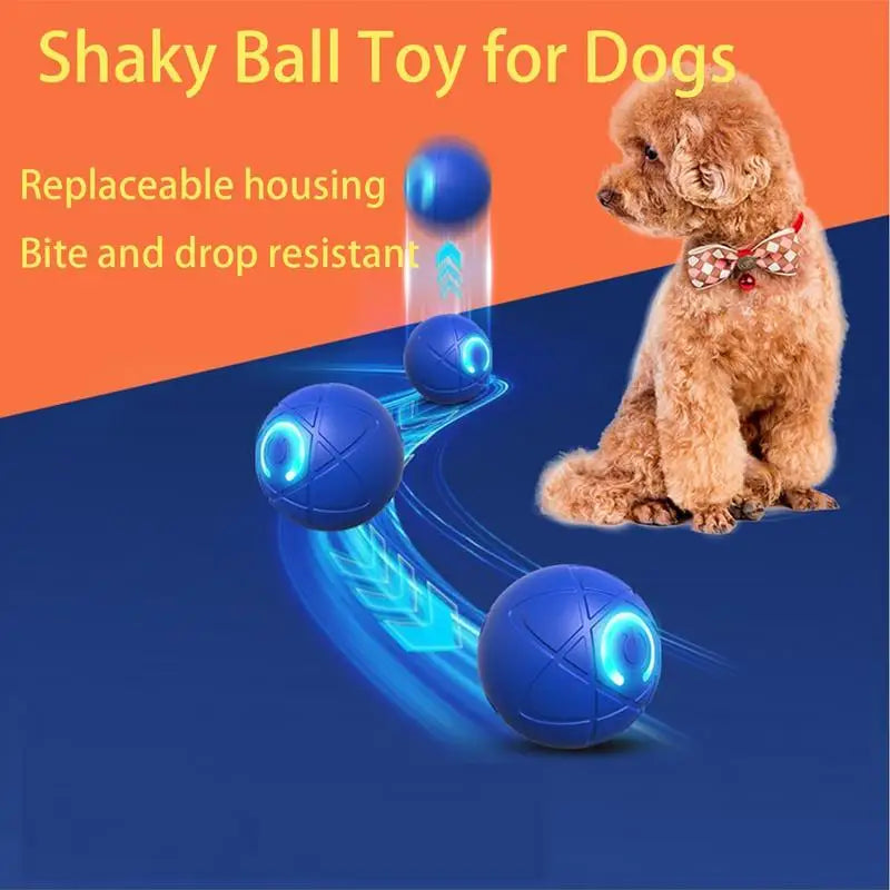 Interactive LED Rolling Ball Dog Toy