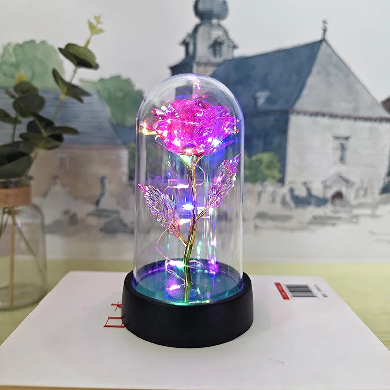 Präsentierte Rose in Glaskuppel mit LED-Beleuchtung