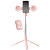 Selfie Stick Tripod with Ring Light and Wireless Remote