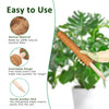 Stackable Natural Plant Support Poles