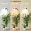 Three color modes of a full spectrum LED grow light with adjustable stand illuminating a potted plant.