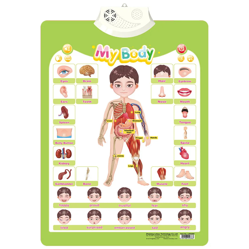 Interactive Alphabet & Number Learning Wall Chart for Toddlers