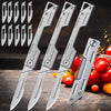 Folding Keychain Knife with 10 Spare Blades